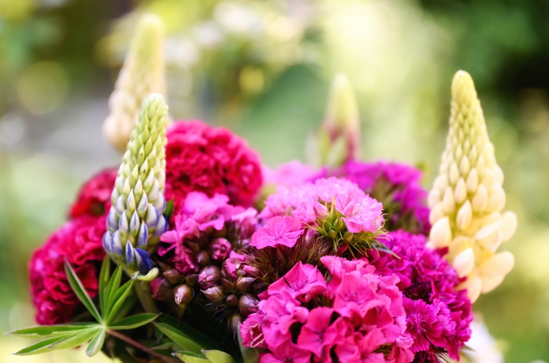 fleuriste-LE CASTELLET-min_flowers-5369794